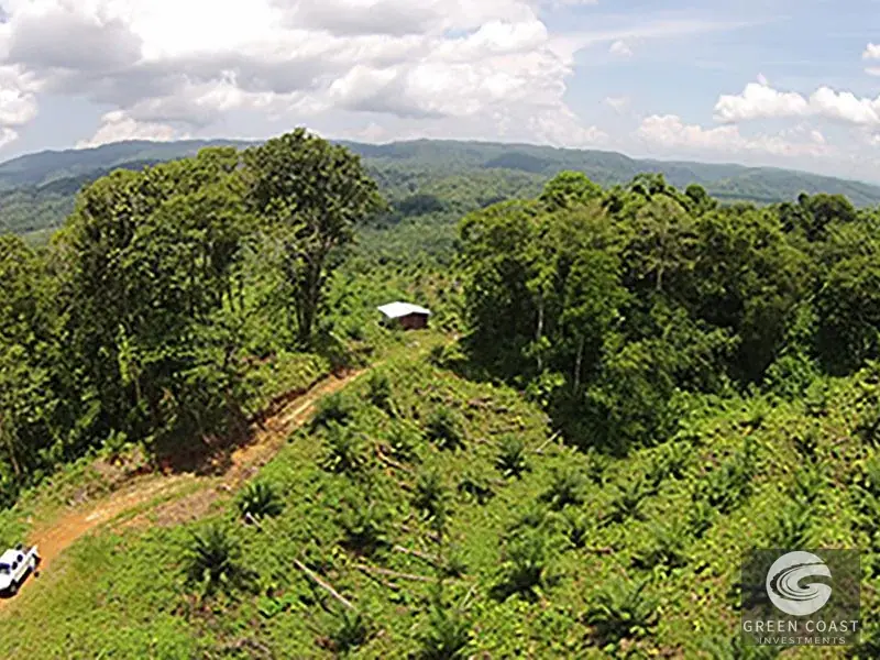 98-Hectare Producing Palm Farm with Ocean Views & Owner's Cabin in Osa Peninsula — view 8, Palmar, Osa, Costa Rica