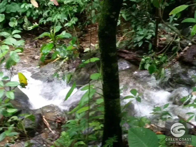 98-Hectare Producing Palm Farm with Ocean Views & Owner's Cabin in Osa Peninsula — view 9, Palmar, Osa, Costa Rica