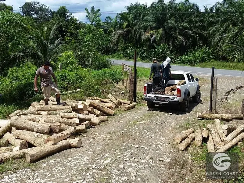 98-Hectare Producing Palm Farm with Ocean Views & Owner's Cabin in Osa Peninsula — view 16, Palmar, Osa, Costa Rica