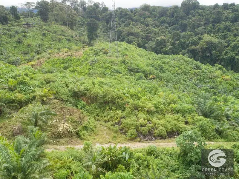 98-Hectare Producing Palm Farm with Ocean Views & Owner's Cabin in Osa Peninsula — view 24, Palmar, Osa, Costa Rica