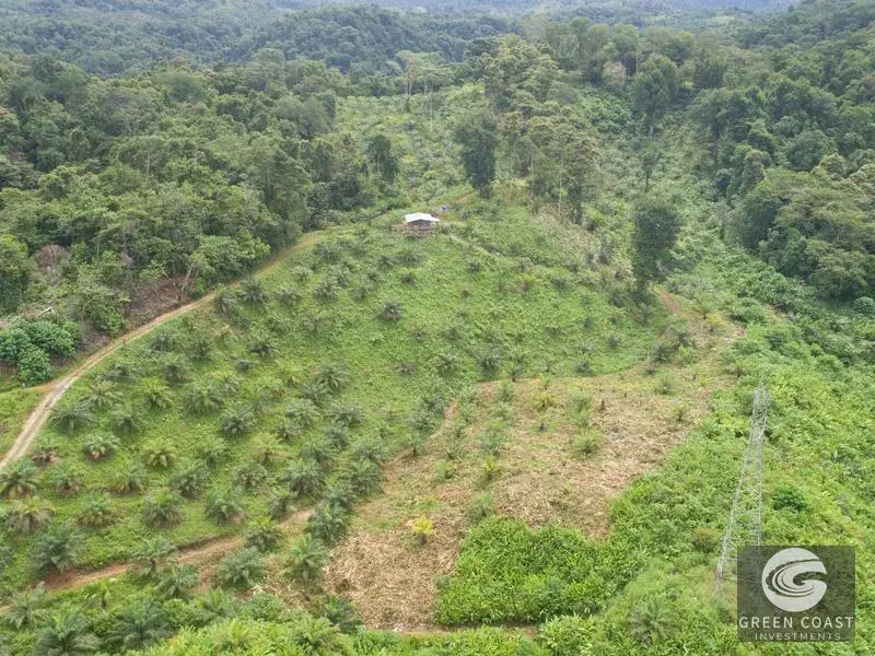 98-Hectare Producing Palm Farm with Ocean Views & Owner's Cabin in Osa Peninsula — view 28, Palmar, Osa, Costa Rica