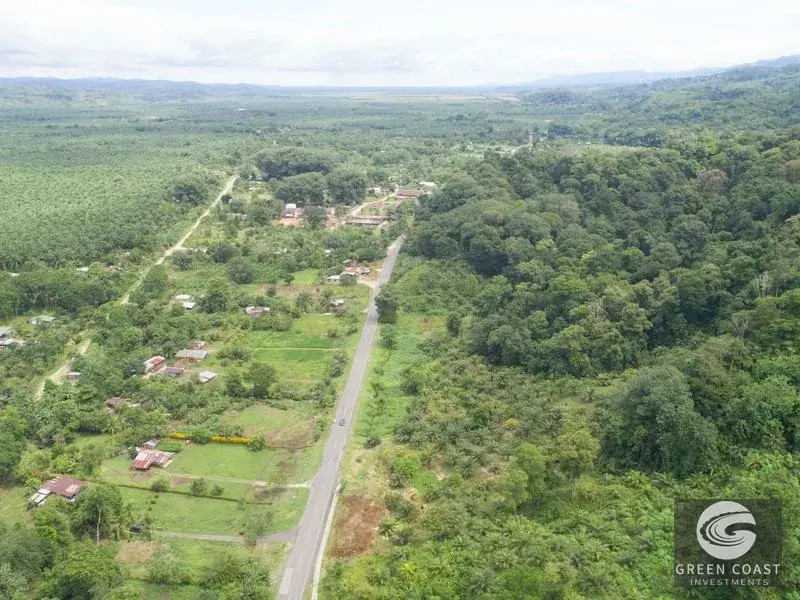 98-Hectare Producing Palm Farm with Ocean Views & Owner's Cabin in Osa Peninsula — view 30, Palmar, Osa, Costa Rica