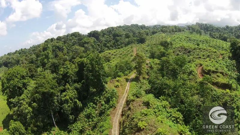 98-Hectare Producing Palm Farm with Ocean Views & Owner's Cabin in Osa Peninsula — view 35, Palmar, Osa, Costa Rica