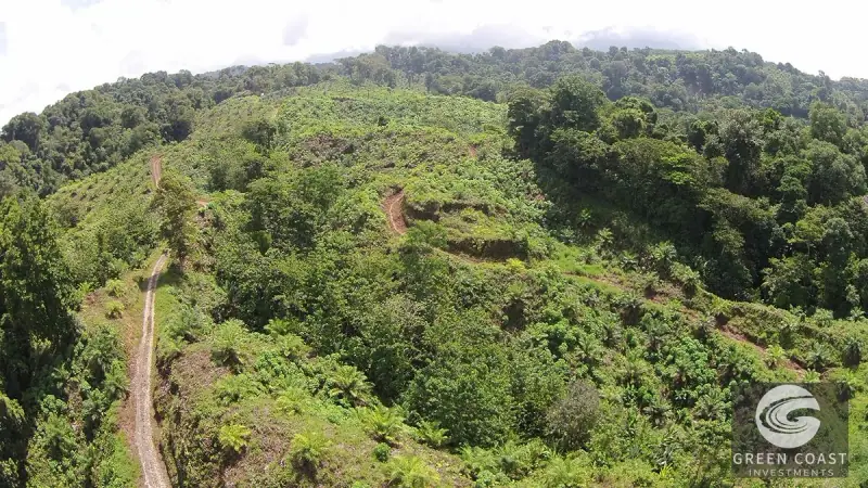 98-Hectare Producing Palm Farm with Ocean Views & Owner's Cabin in Osa Peninsula — view 36, Palmar, Osa, Costa Rica