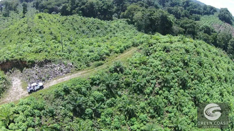 98-Hectare Producing Palm Farm with Ocean Views & Owner's Cabin in Osa Peninsula — view 38, Palmar, Osa, Costa Rica