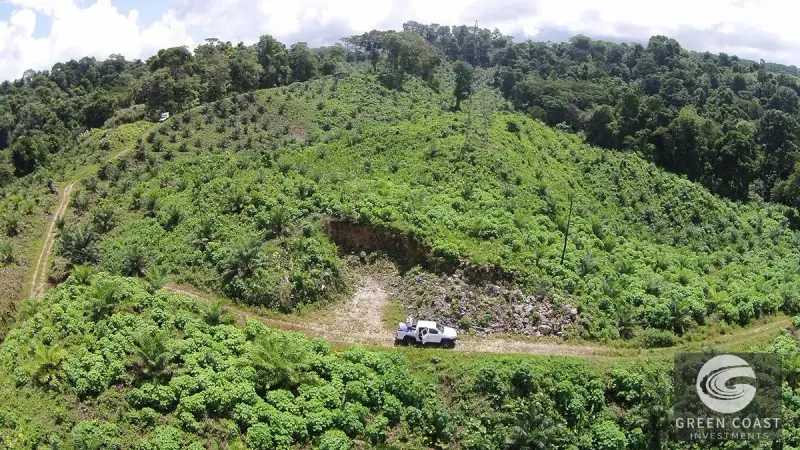 98-Hectare Producing Palm Farm with Ocean Views & Owner's Cabin in Osa Peninsula — view 39, Palmar, Osa, Costa Rica