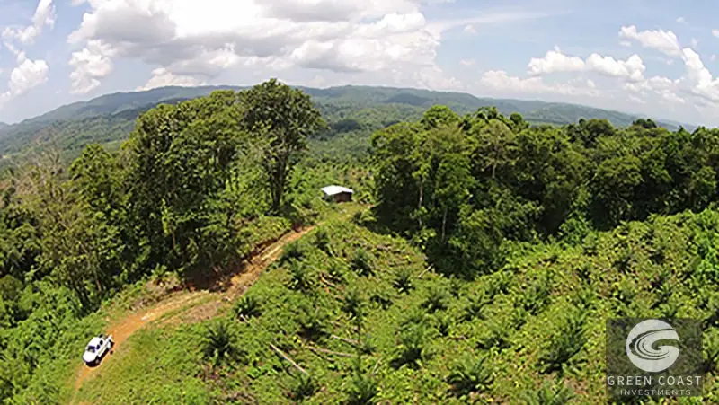 98-Hectare Producing Palm Farm with Ocean Views & Owner's Cabin in Osa Peninsula — view 42, Palmar, Osa, Costa Rica