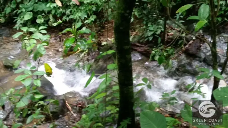 98-Hectare Producing Palm Farm with Ocean Views & Owner's Cabin in Osa Peninsula — view 43, Palmar, Osa, Costa Rica