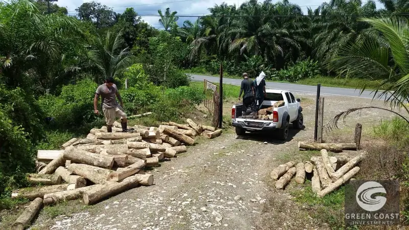 98-Hectare Producing Palm Farm with Ocean Views & Owner's Cabin in Osa Peninsula — view 50, Palmar, Osa, Costa Rica