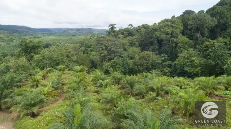98-Hectare Producing Palm Farm with Ocean Views & Owner's Cabin in Osa Peninsula — view 52, Palmar, Osa, Costa Rica