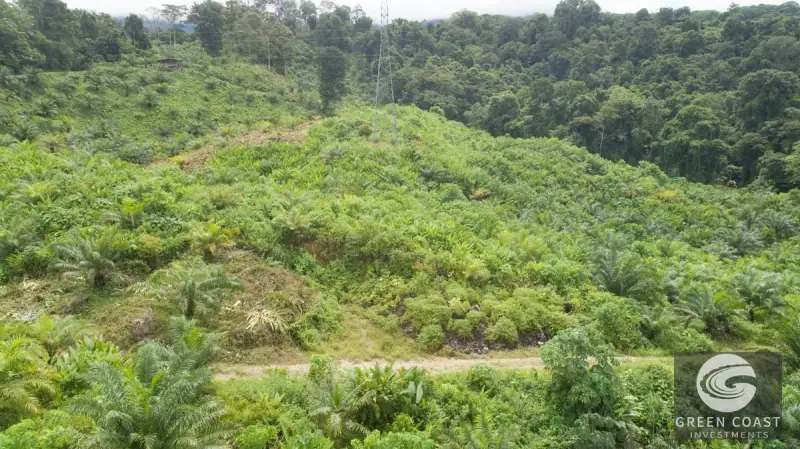 98-Hectare Producing Palm Farm with Ocean Views & Owner's Cabin in Osa Peninsula — view 58, Palmar, Osa, Costa Rica