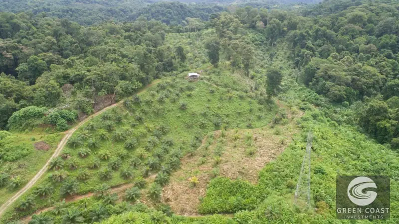 98-Hectare Producing Palm Farm with Ocean Views & Owner's Cabin in Osa Peninsula — view 62, Palmar, Osa, Costa Rica
