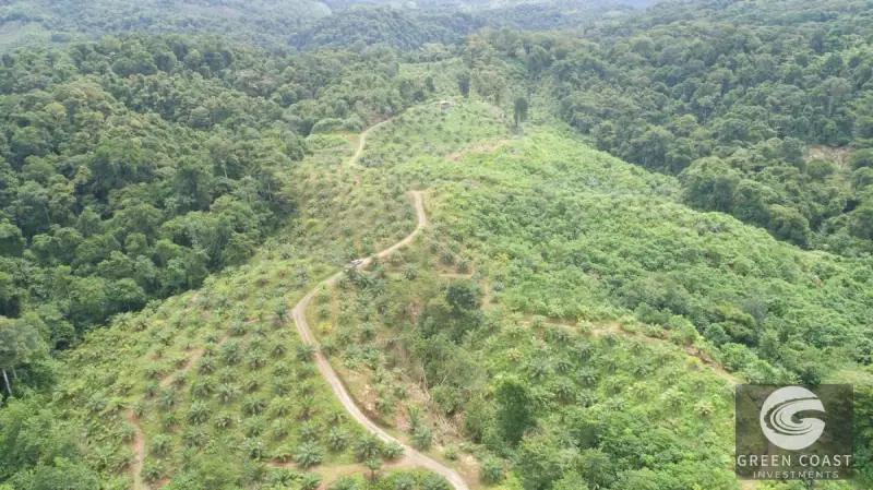 98-Hectare Producing Palm Farm with Ocean Views & Owner's Cabin in Osa Peninsula — view 63, Palmar, Osa, Costa Rica