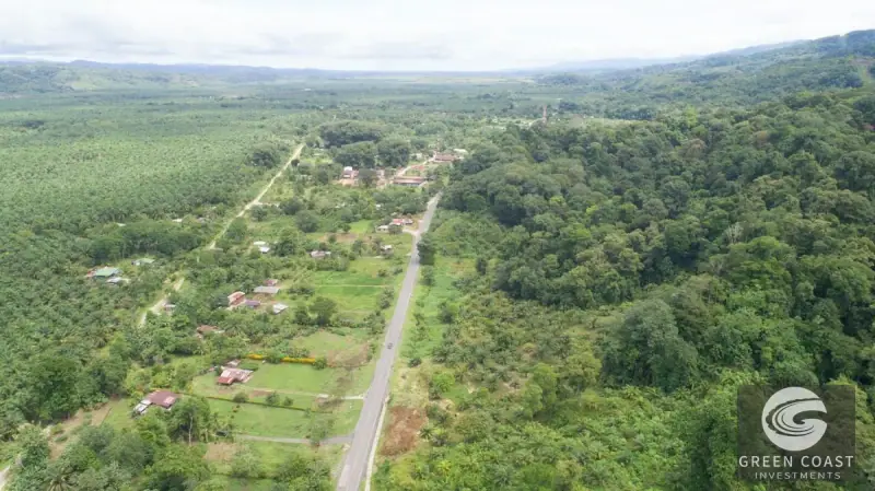 98-Hectare Producing Palm Farm with Ocean Views & Owner's Cabin in Osa Peninsula — view 64, Palmar, Osa, Costa Rica