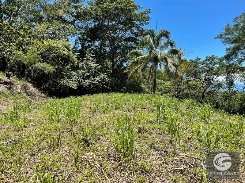 Ocean-View Multi-Lot Estate with Legal Water and Private Building Sites in Hatillo Hills — view 2, Savegre, Savegre, Costa Rica