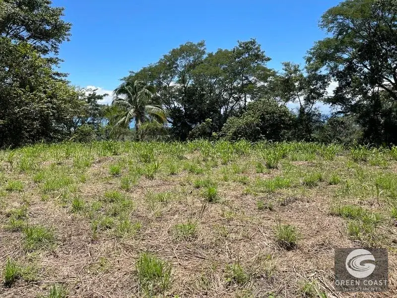 Ocean-View Multi-Lot Estate with Legal Water and Private Building Sites in Hatillo Hills — view 6, Savegre, Savegre, Costa Rica