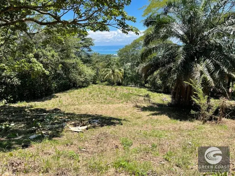 Ocean-View Multi-Lot Estate with Legal Water and Private Building Sites in Hatillo Hills — view 7, Savegre, Savegre, Costa Rica