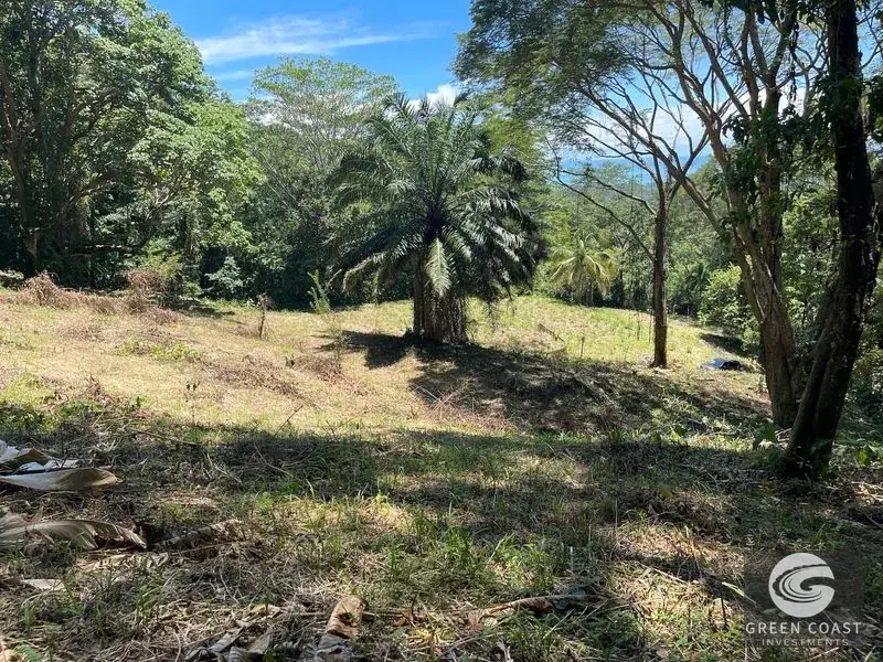 Ocean-View Multi-Lot Estate with Legal Water and Private Building Sites in Hatillo Hills — view 10, Savegre, Savegre, Costa Rica