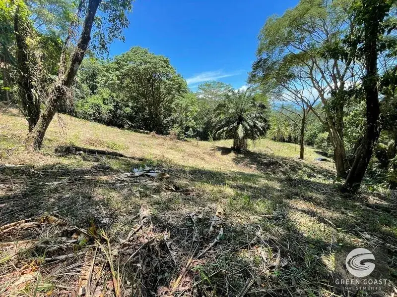 Ocean-View Multi-Lot Estate with Legal Water and Private Building Sites in Hatillo Hills — view 11, Savegre, Savegre, Costa Rica