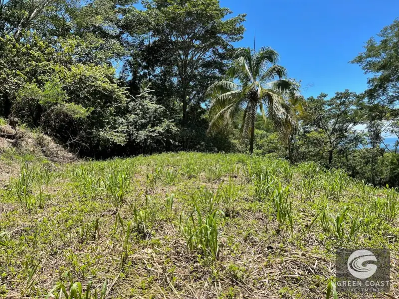 Ocean-View Multi-Lot Estate with Legal Water and Private Building Sites in Hatillo Hills — view 18, Savegre, Savegre, Costa Rica