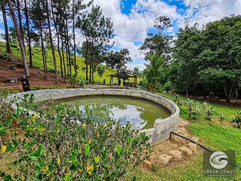 16-Acre San Isidro Farm with Tilapia Ponds, Modern Home, and Chirripo Mountain Views — view 6, Santa Teresa, Costa Rica