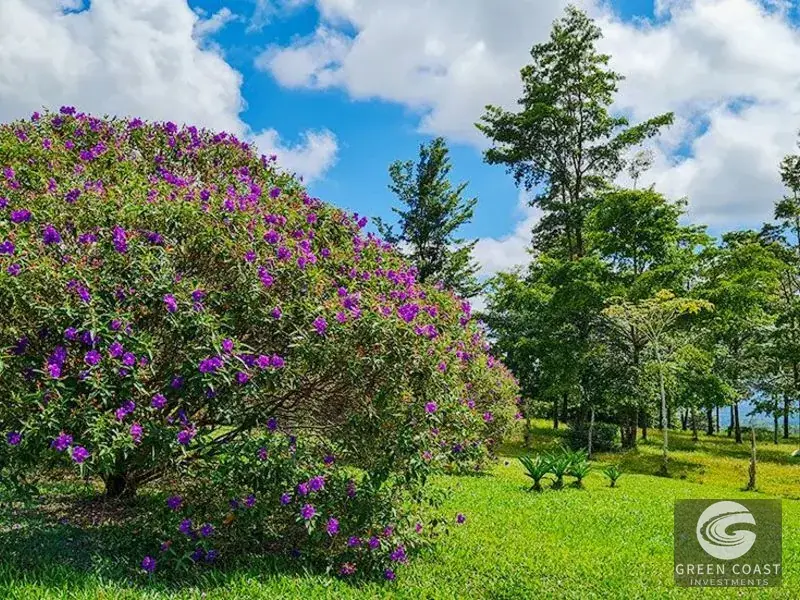 16-Acre San Isidro Farm with Tilapia Ponds, Modern Home, and Chirripo Mountain Views — view 12, Santa Teresa, Costa Rica