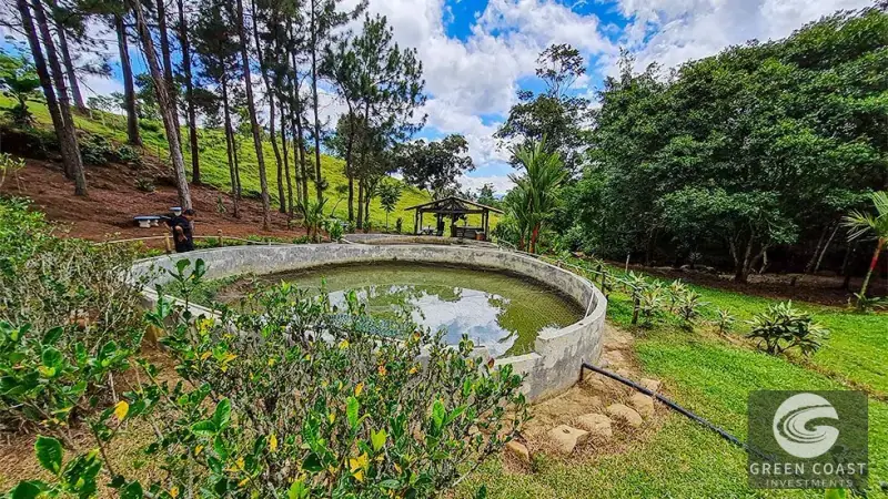 16-Acre San Isidro Farm with Tilapia Ponds, Modern Home, and Chirripo Mountain Views — view 31, Santa Teresa, Costa Rica