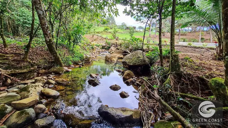 16-Acre San Isidro Farm with Tilapia Ponds, Modern Home, and Chirripo Mountain Views — view 35, Santa Teresa, Costa Rica
