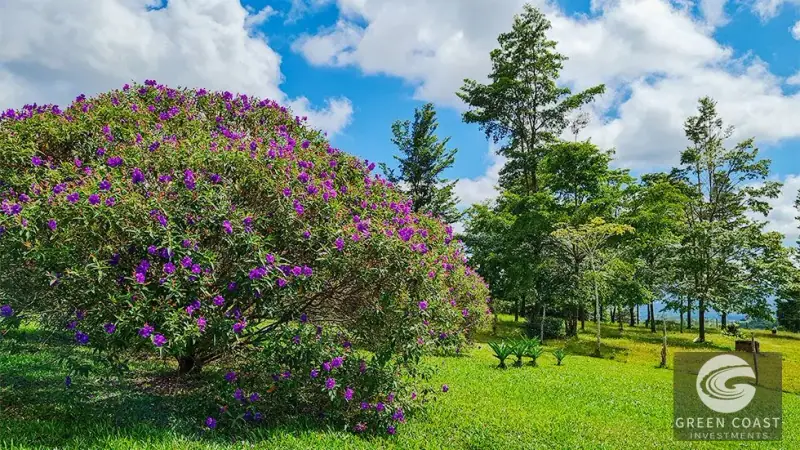 16-Acre San Isidro Farm with Tilapia Ponds, Modern Home, and Chirripo Mountain Views — view 37, Santa Teresa, Costa Rica