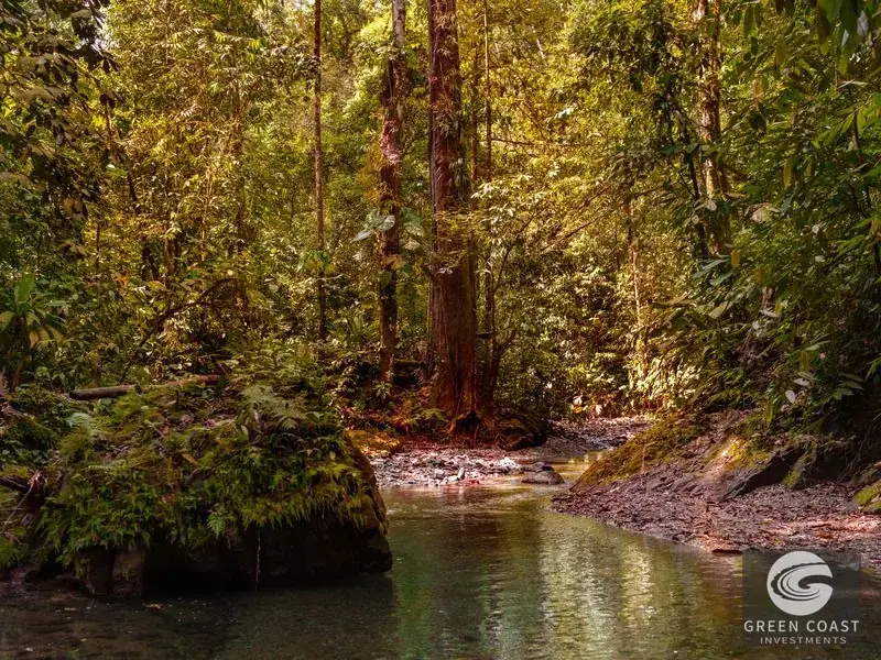 46-Acre Rainforest & River Sanctuary in Golfito's Biodiverse Biological Corridor — view 3, La Gamba, Golfito, Costa Rica