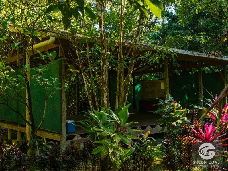 46-Acre Rainforest & River Sanctuary in Golfito's Biodiverse Biological Corridor — view 6, La Gamba, Golfito, Costa Rica