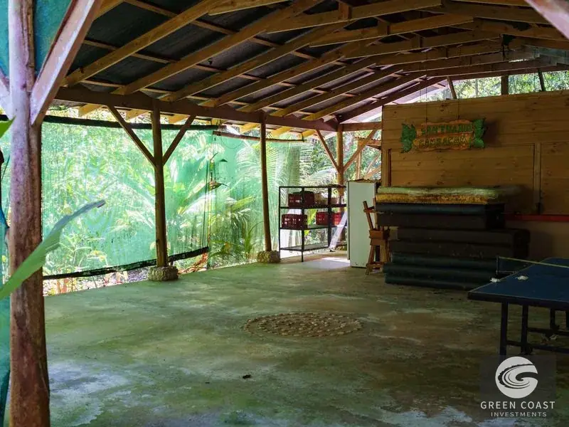 46-Acre Rainforest & River Sanctuary in Golfito's Biodiverse Biological Corridor — view 8, La Gamba, Golfito, Costa Rica