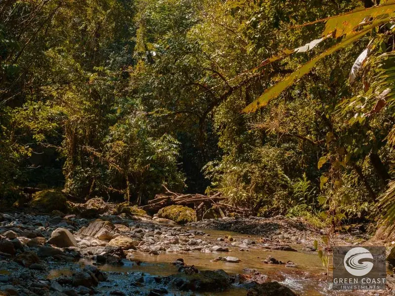 46-Acre Rainforest & River Sanctuary in Golfito's Biodiverse Biological Corridor — view 9, La Gamba, Golfito, Costa Rica