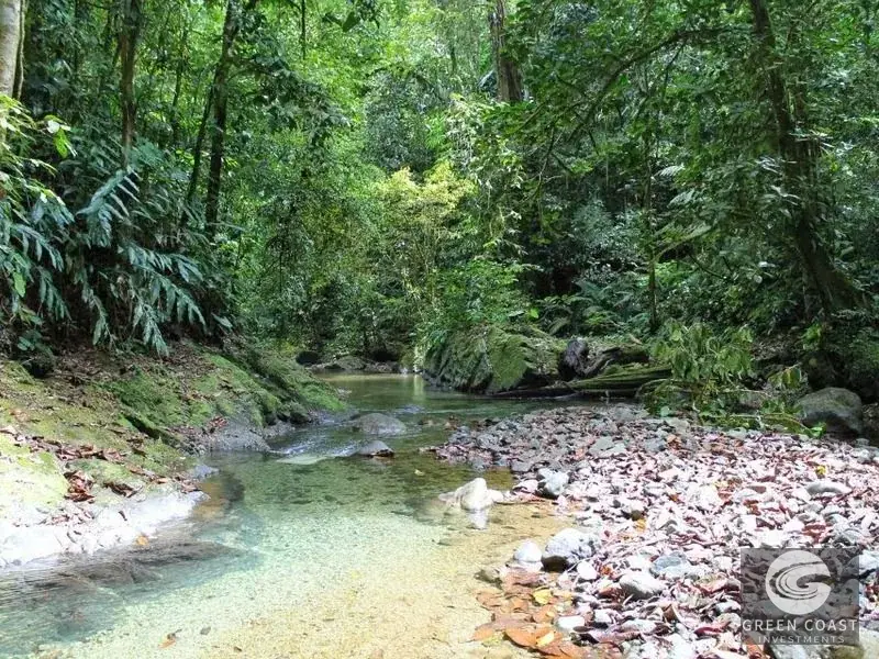 46-Acre Rainforest & River Sanctuary in Golfito's Biodiverse Biological Corridor — view 11, La Gamba, Golfito, Costa Rica