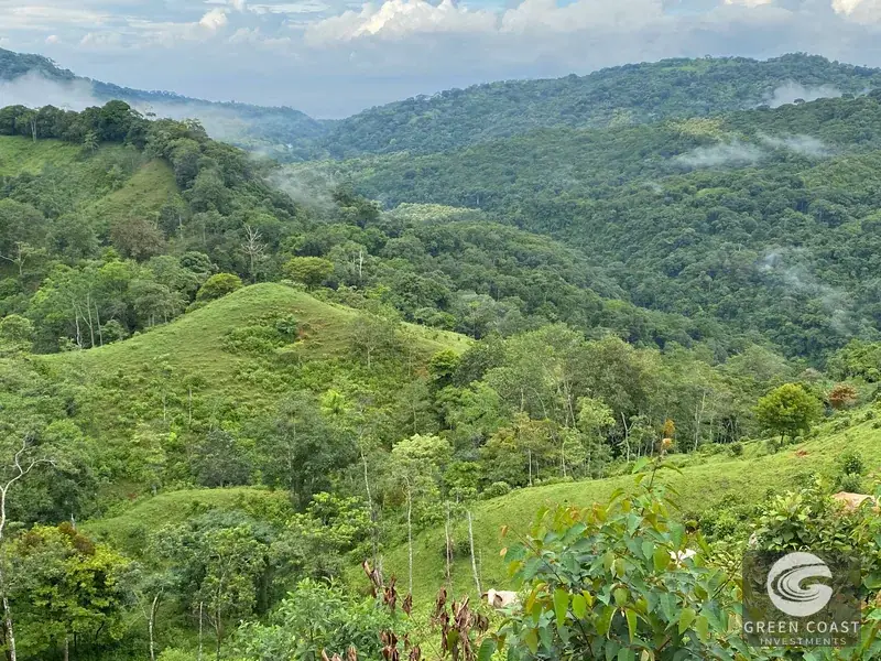 46-Acre Rainforest & River Sanctuary in Golfito's Biodiverse Biological Corridor — view 15, La Gamba, Golfito, Costa Rica