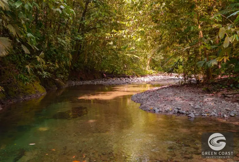 46-Acre Rainforest & River Sanctuary in Golfito's Biodiverse Biological Corridor — view 16, La Gamba, Golfito, Costa Rica