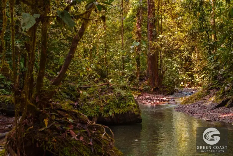 46-Acre Rainforest & River Sanctuary in Golfito's Biodiverse Biological Corridor — view 17, La Gamba, Golfito, Costa Rica