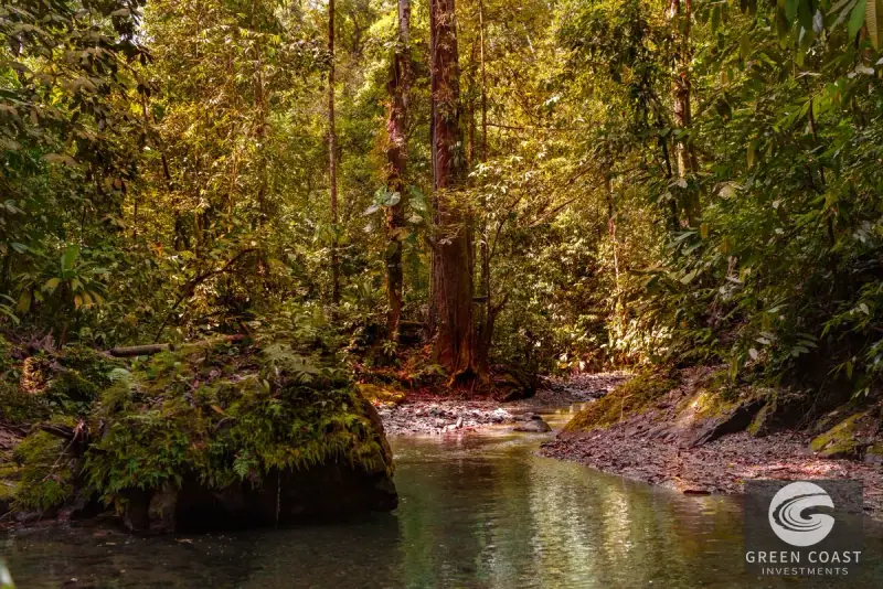 46-Acre Rainforest & River Sanctuary in Golfito's Biodiverse Biological Corridor — view 18, La Gamba, Golfito, Costa Rica