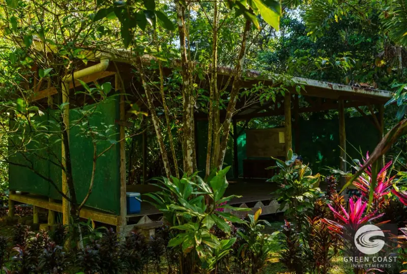 46-Acre Rainforest & River Sanctuary in Golfito's Biodiverse Biological Corridor — view 21, La Gamba, Golfito, Costa Rica