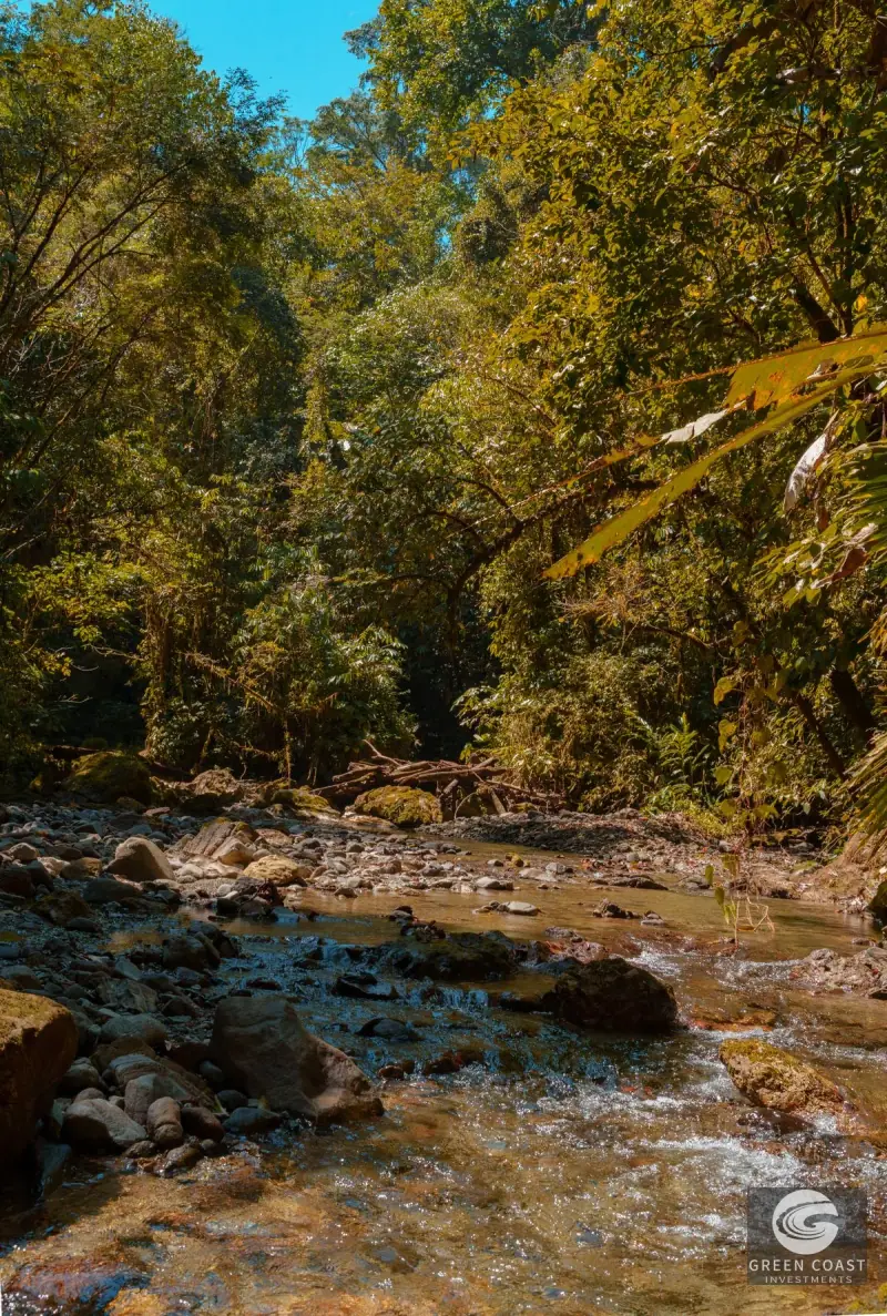 46-Acre Rainforest & River Sanctuary in Golfito's Biodiverse Biological Corridor — view 24, La Gamba, Golfito, Costa Rica