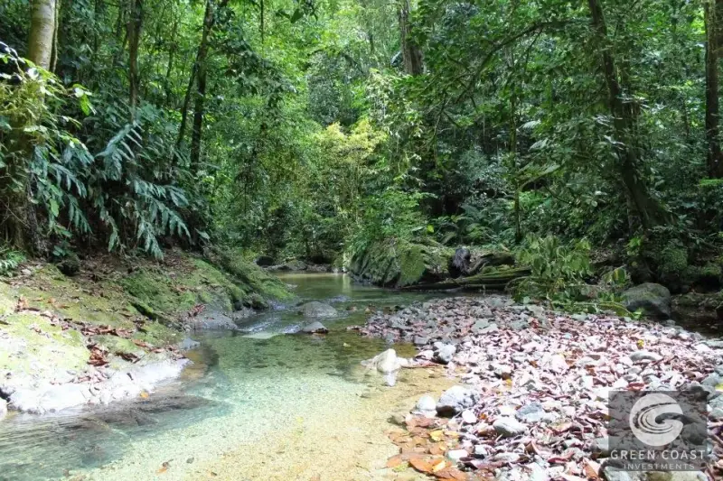 46-Acre Rainforest & River Sanctuary in Golfito's Biodiverse Biological Corridor — view 26, La Gamba, Golfito, Costa Rica