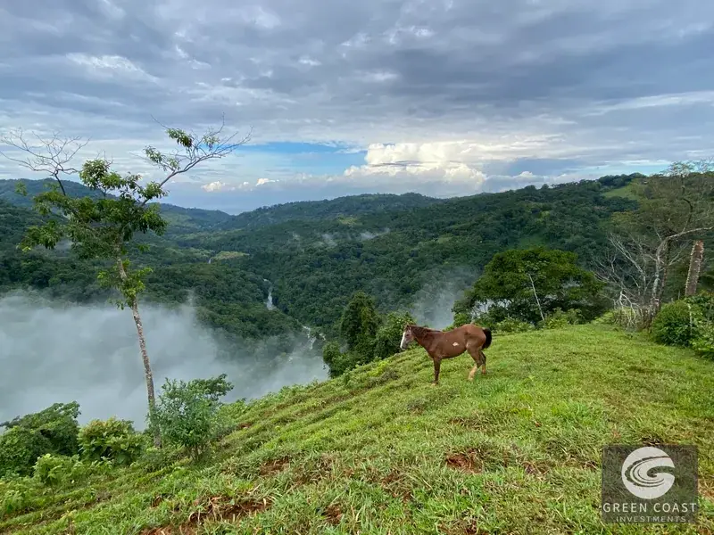 Dominical Ocean-View Development Acreage: 6 Private Building Sites Near Platanillo — view 3, Dominical, Costa Rica