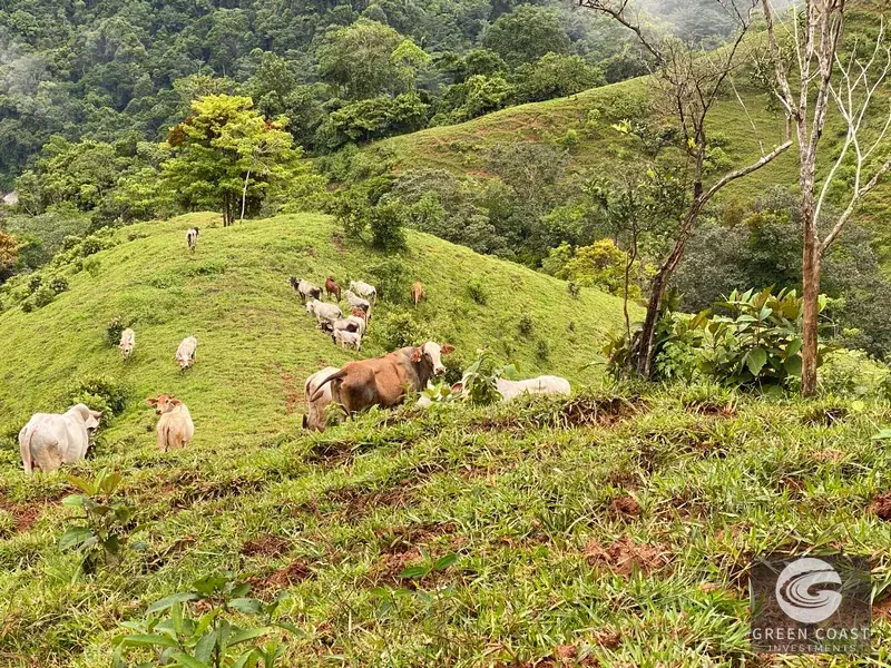 Dominical Ocean-View Development Acreage: 6 Private Building Sites Near Platanillo — view 18, Dominical, Costa Rica