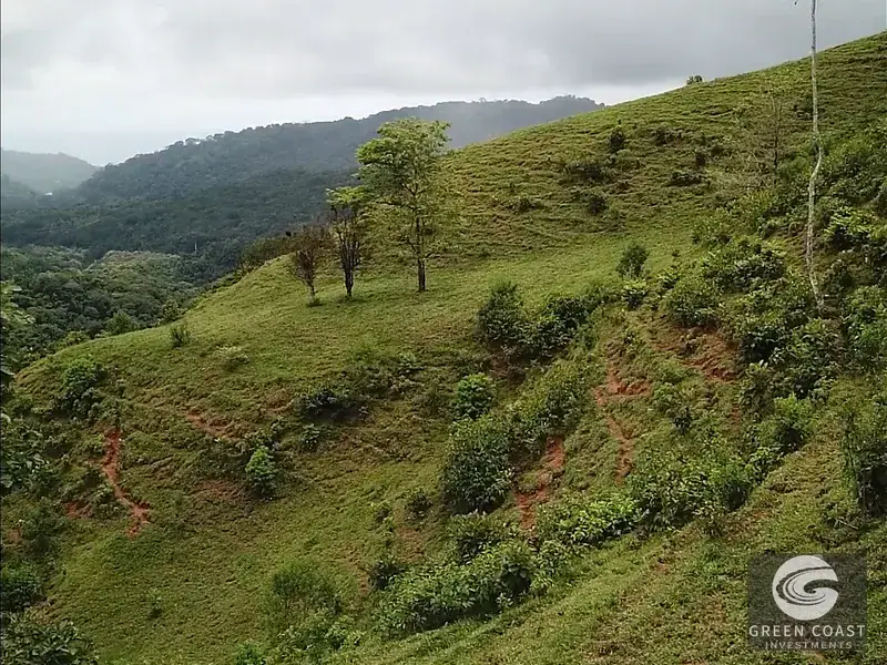 Dominical Ocean-View Development Acreage: 6 Private Building Sites Near Platanillo — view 23, Dominical, Costa Rica