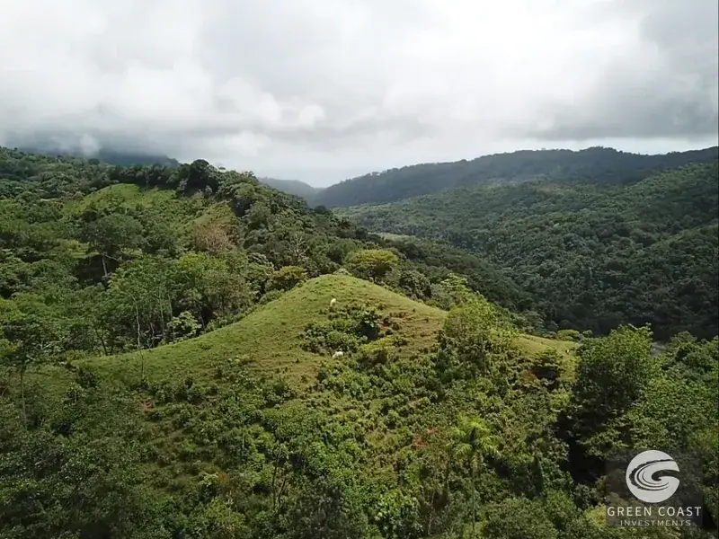 Dominical Ocean-View Development Acreage: 6 Private Building Sites Near Platanillo — view 25, Dominical, Costa Rica