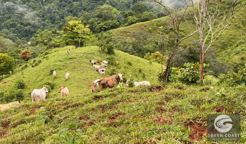 Dominical Ocean-View Development Acreage: 6 Private Building Sites Near Platanillo — view 47, Dominical, Costa Rica