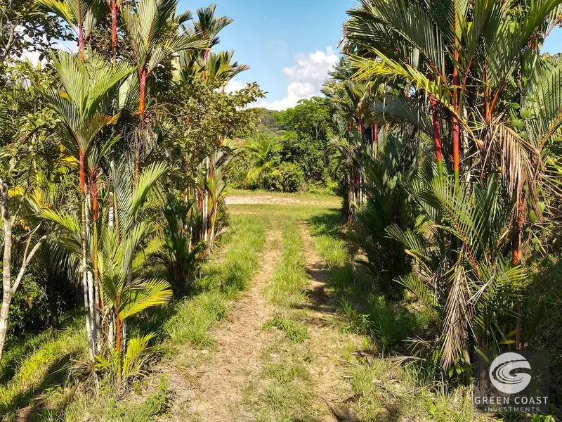 10-Acre Ocean-View Luxury Development Land in Ojochal — view 3, Ojochal, Costa Rica