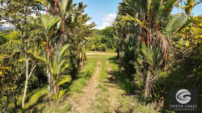 10-Acre Ocean-View Luxury Development Land in Ojochal — view 37, Ojochal, Costa Rica