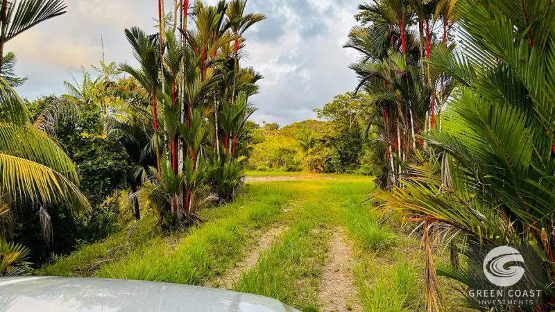 10-Acre Ocean-View Luxury Development Land in Ojochal — view 43, Ojochal, Costa Rica