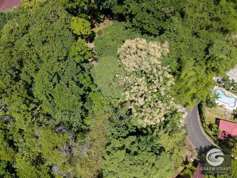 Prime 3-Acre Manuel Antonio Development Land with Dual Road Frontage & Jungle Views — view 13, Manuel Antonio, Costa Rica